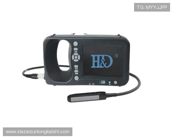 探索凯时尊龙app官网登录入口的操作界面和功能特点